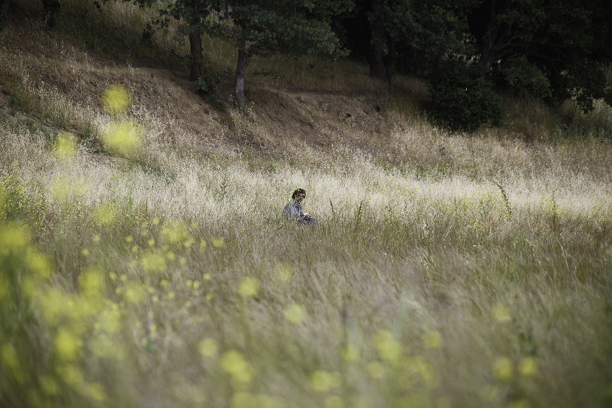 lake lagunitas.jpg