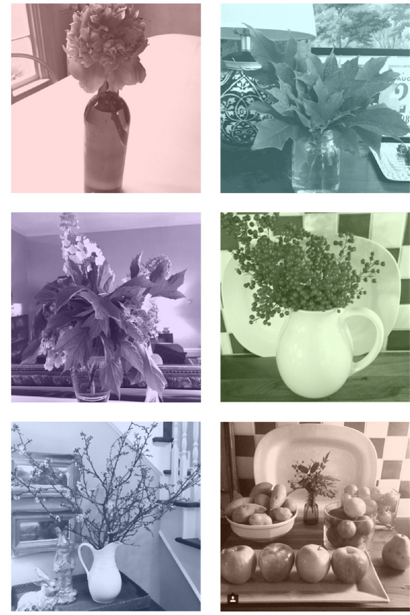 A sampling of the arrangements she has pulled together from our yards!