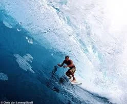 surfline.com