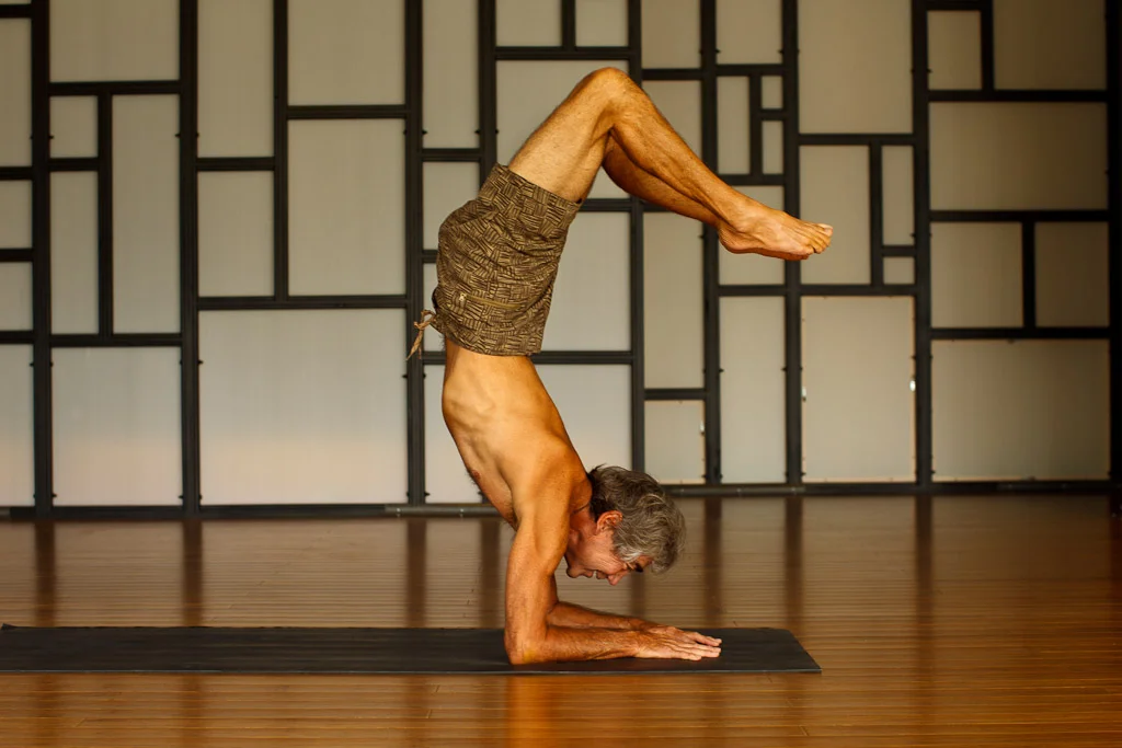 貴重】YOGA Gerry Lopez Style VOL.1〜4 全セット その他