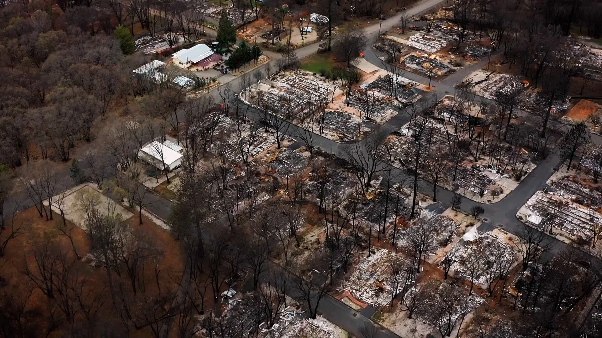 Forced from Paradise: Leaving home after one of America’s deadliest wildfires