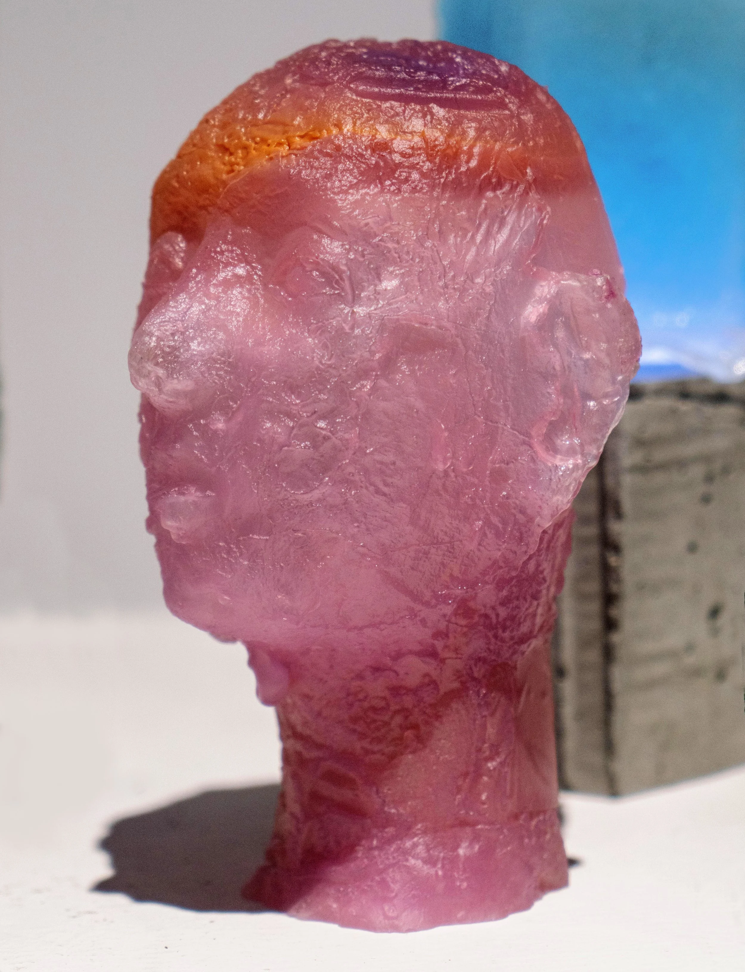 HelenaParriott_Wanderer_pinkhead.jpg