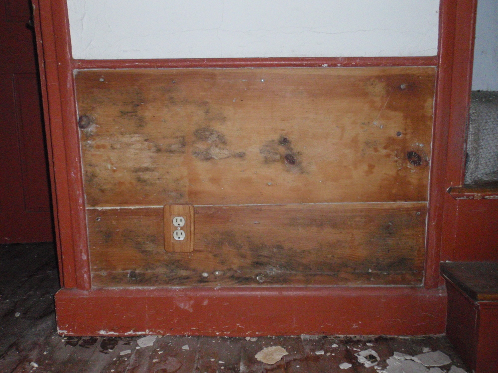  Some of the paneling in the historic kitchen that is still in place. 