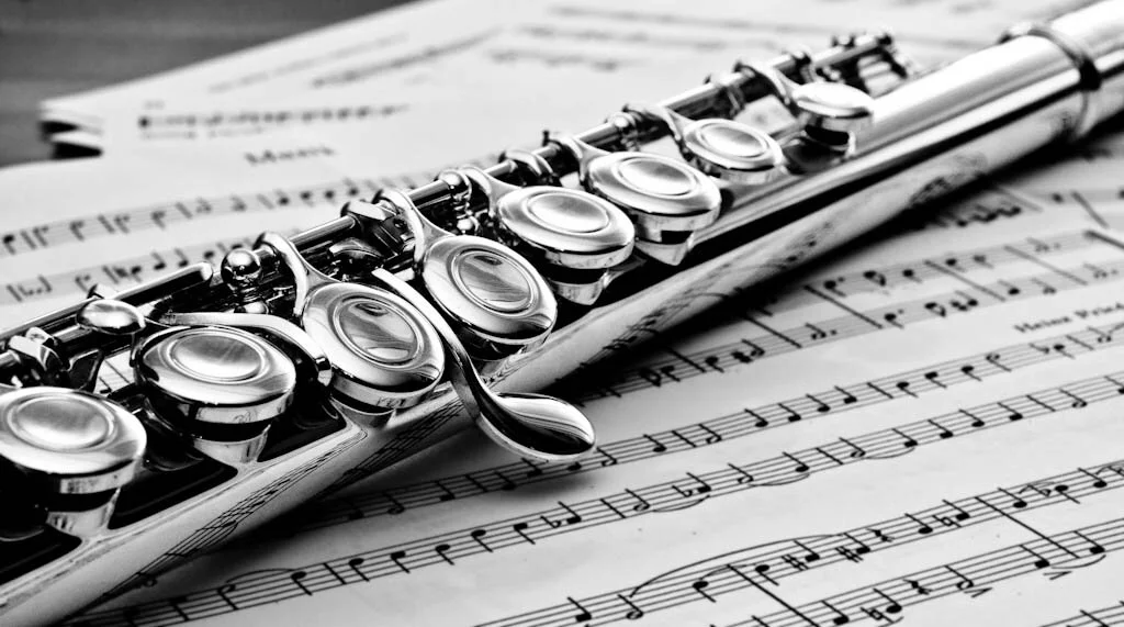Flute Lesson Music Blogs To Inform And Educate Our Guests After School By Klassik Arts