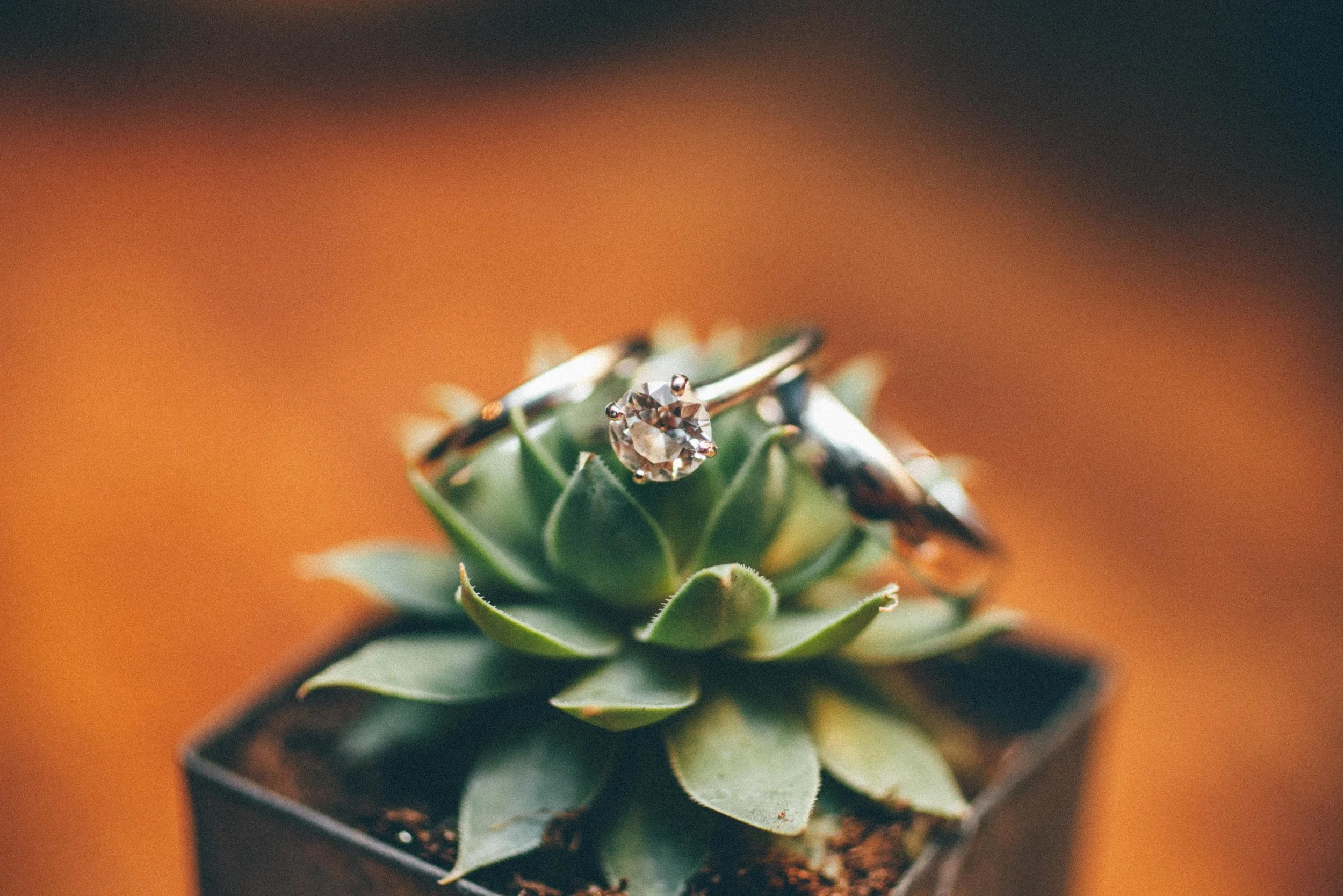 jbobephoto_rick_cece_wedding_previews-66.jpg