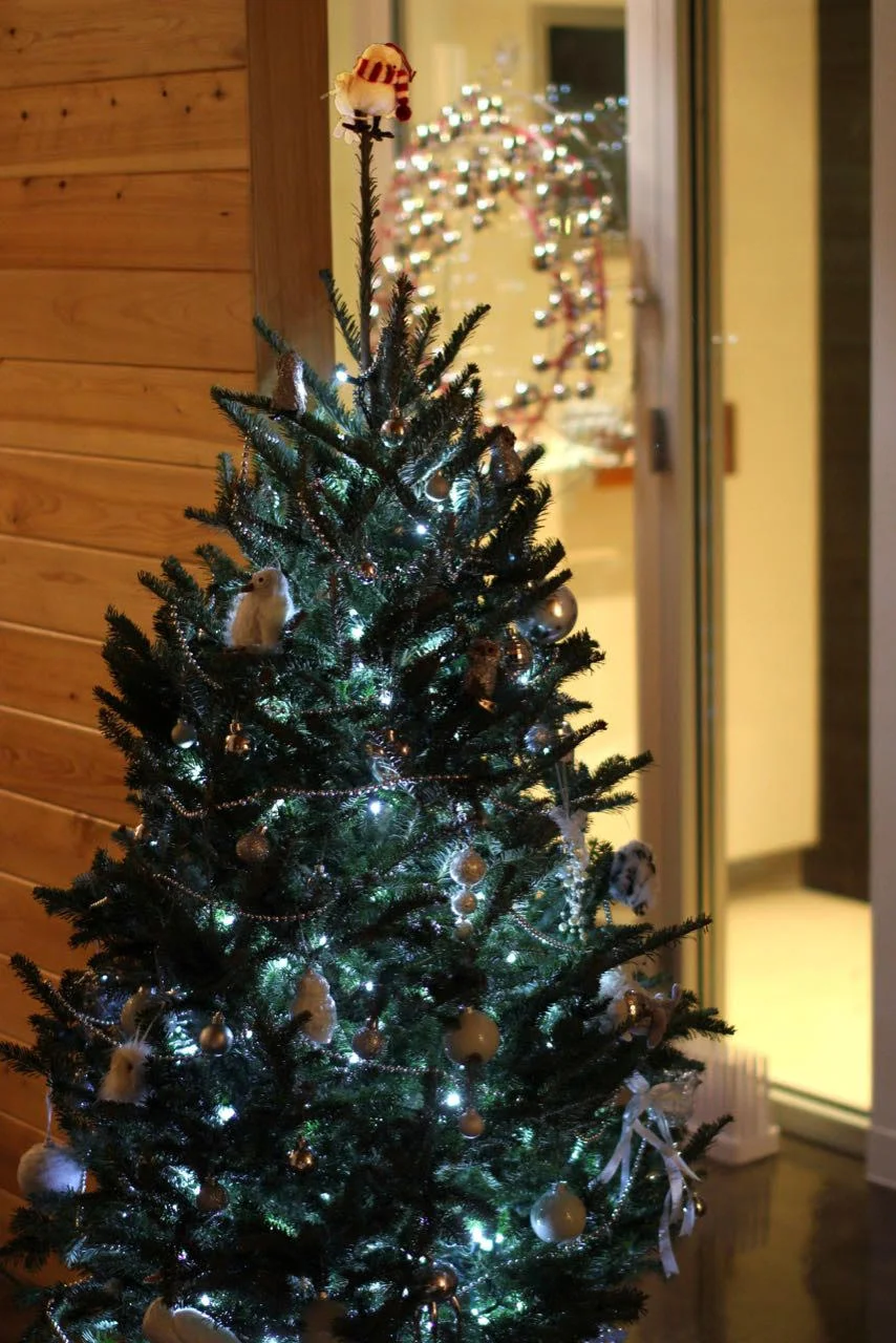 Mace Tree.jpg