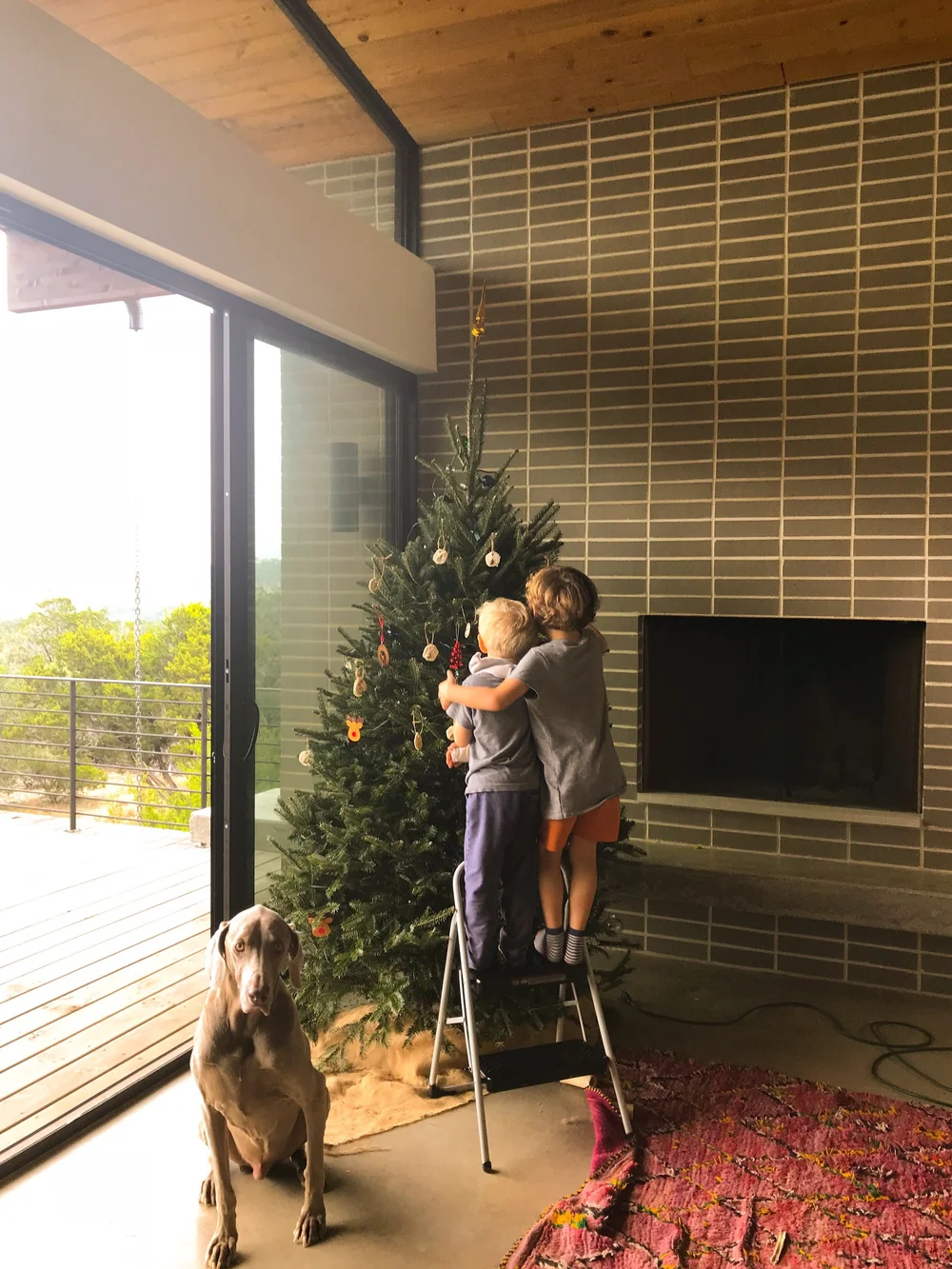 Tatsch Xmas Tree.JPEG