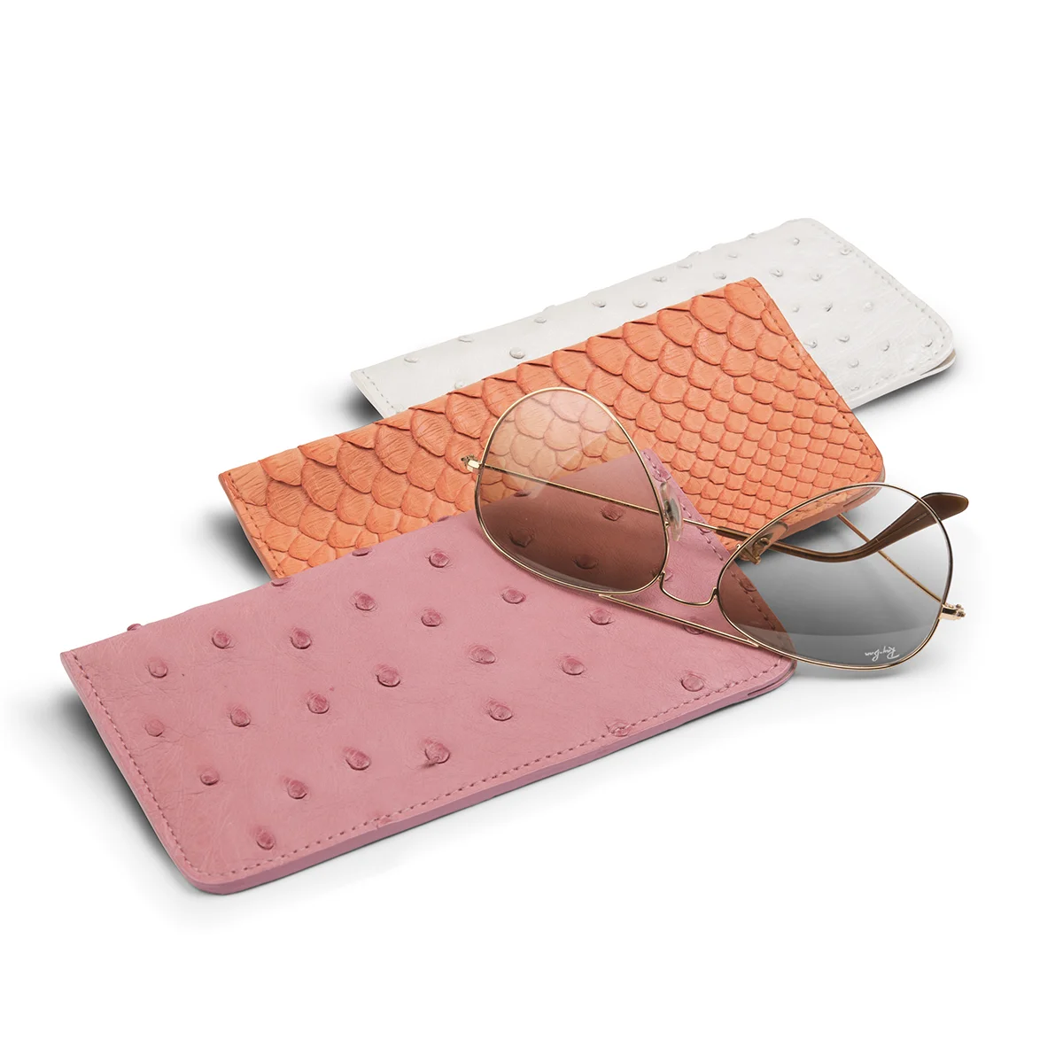Anne Sylvain Glasses Case Ostrich, Python