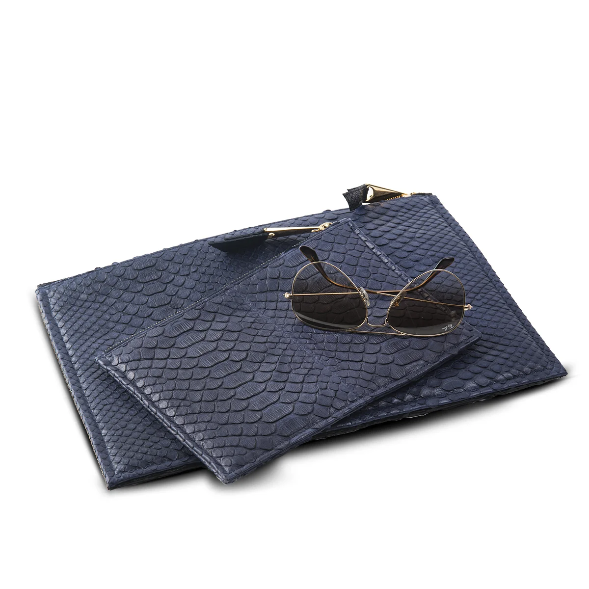Zip Clultch-Python-Navy-ProgProg-Web.jpg