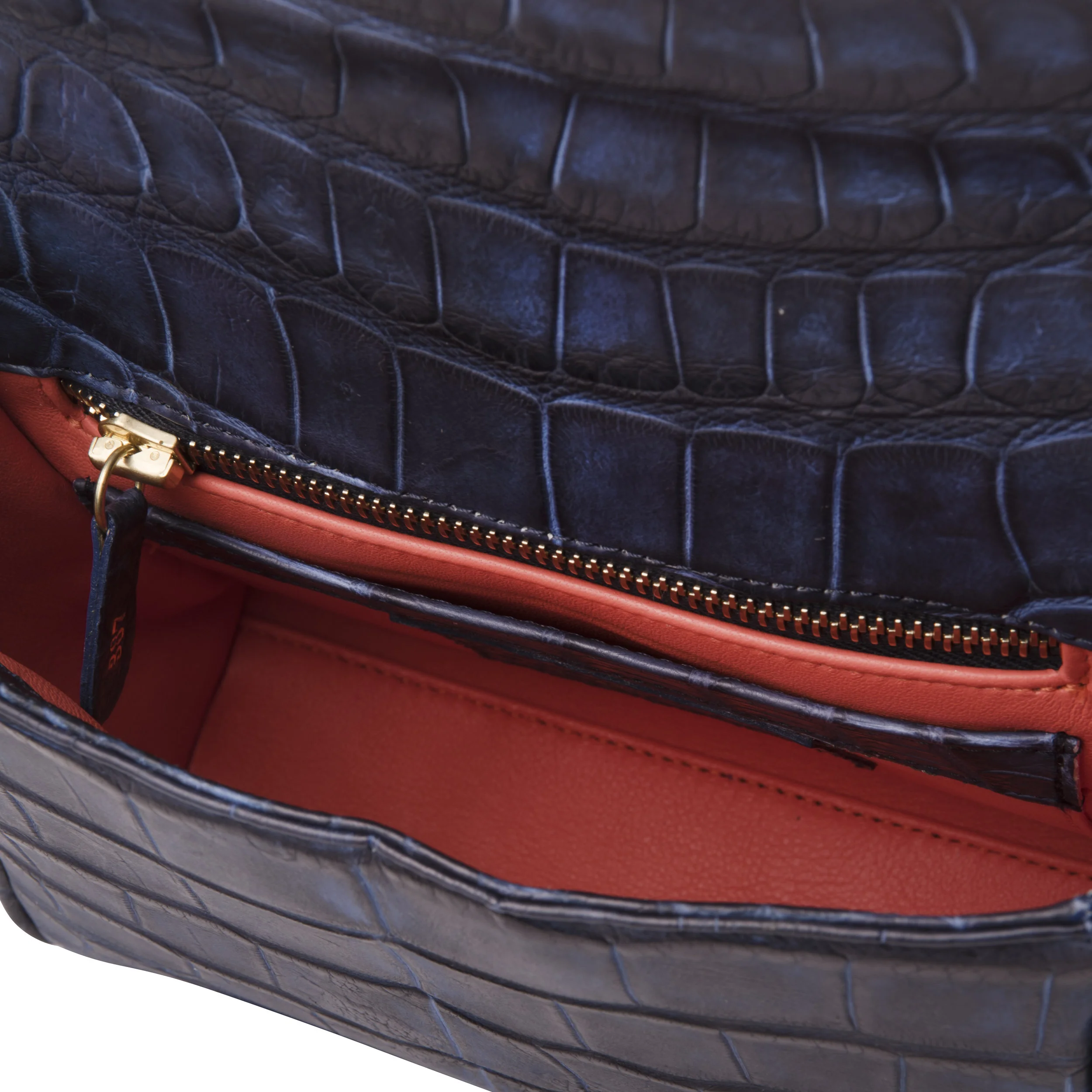Mini-Alligator-Lapis-Interior copy 2-Web.jpg