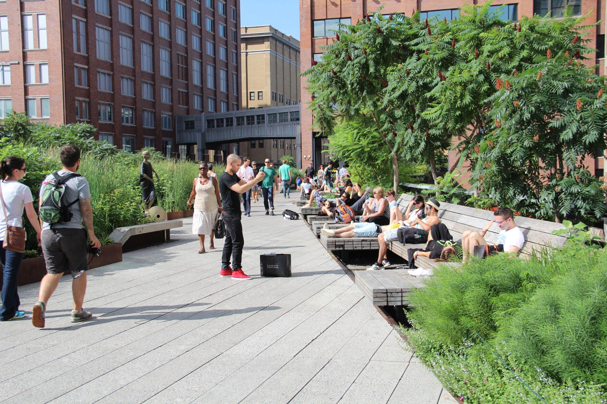highline2.jpg