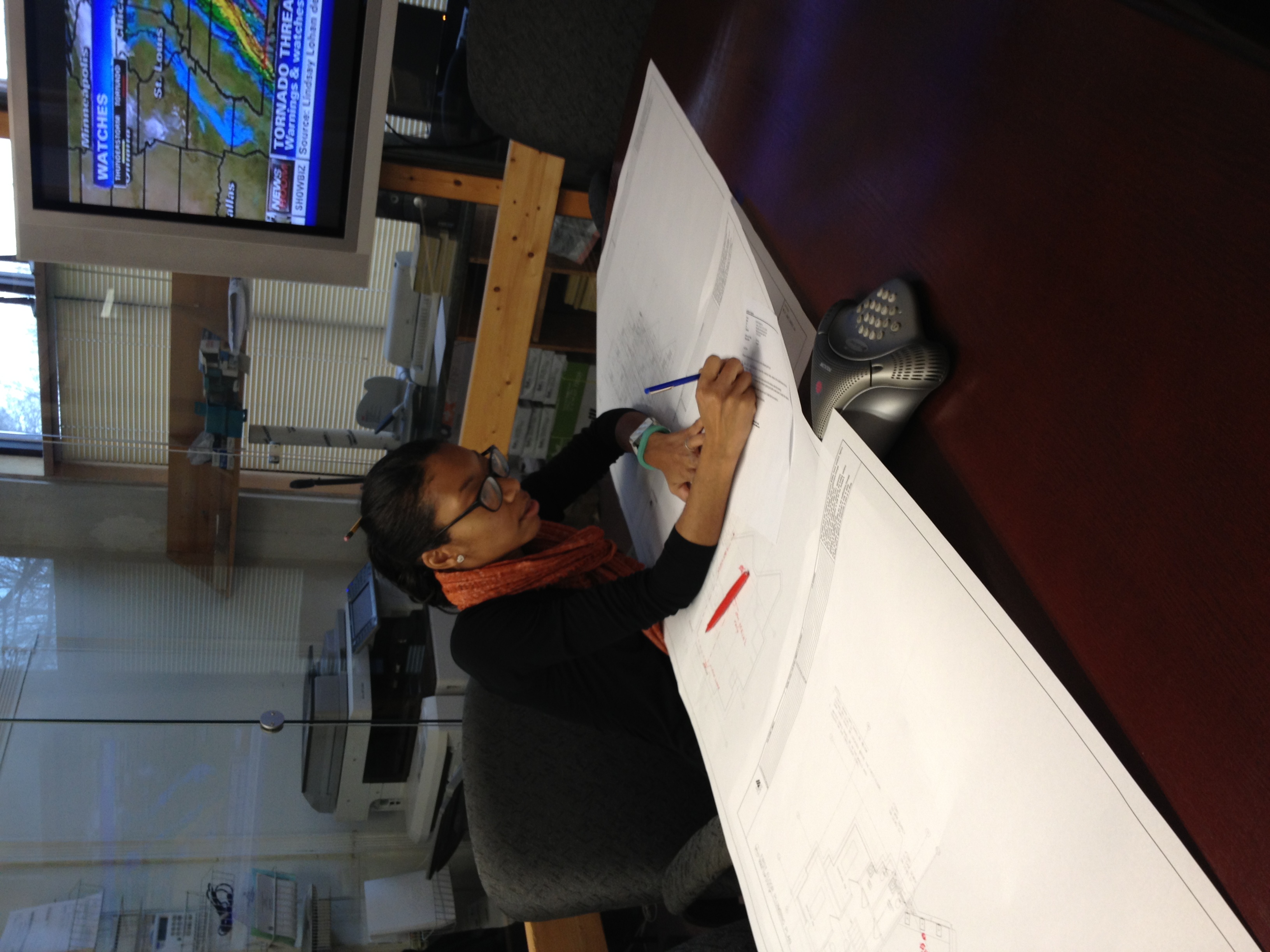 LaShae Ferguson, Associate AIA, Principal of LA Design Collective