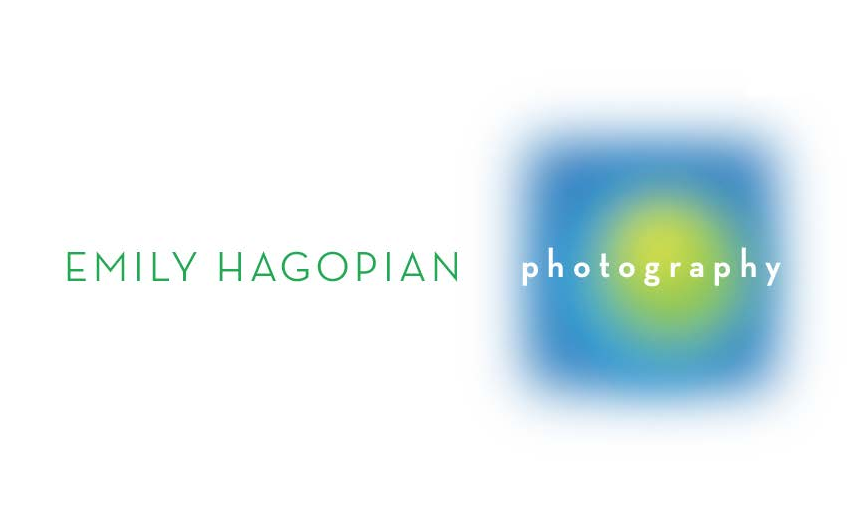 EmilyHagopian_4-16_EH_logo.jpg