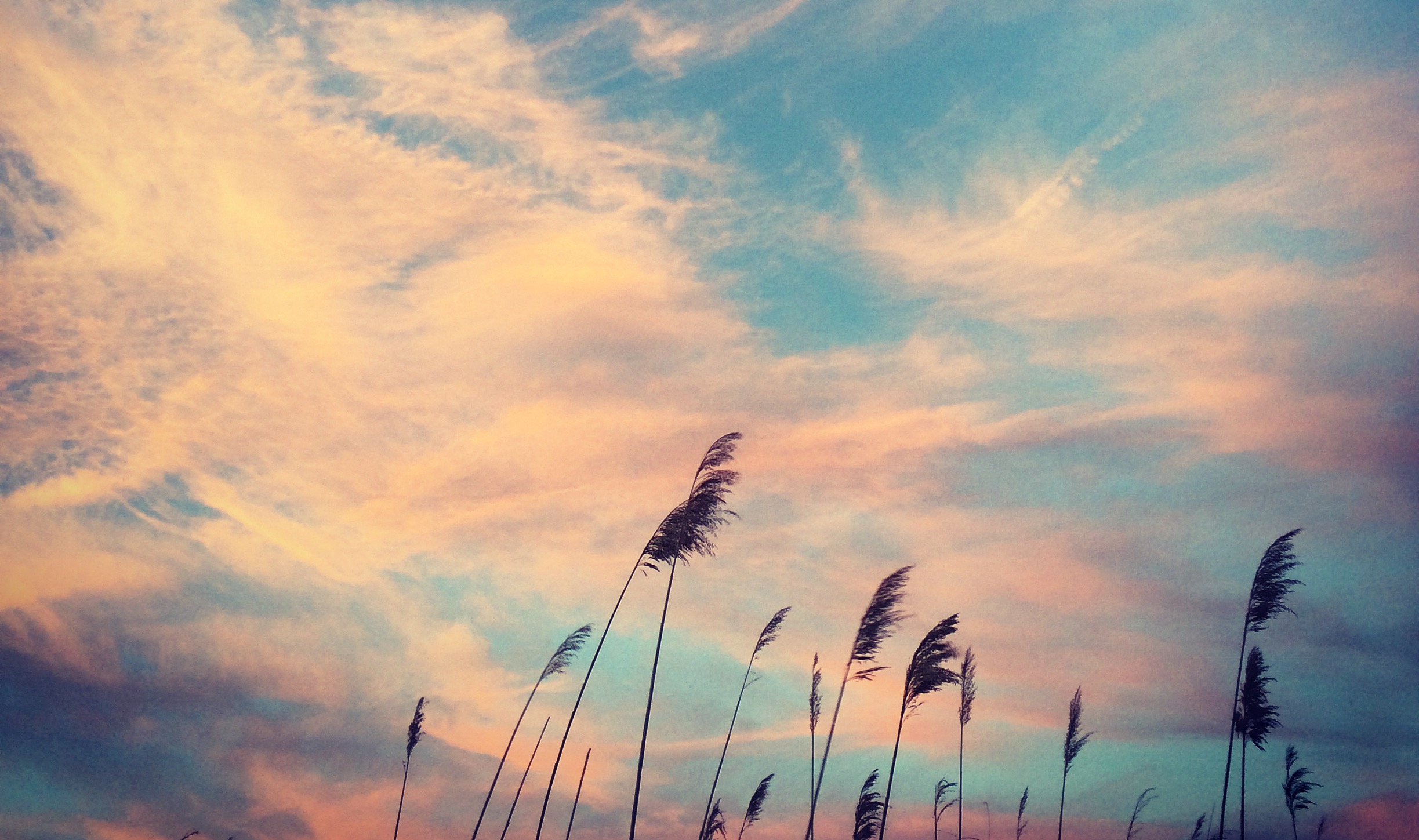 Took this Instagram on Fire Island Sunday at sunset.