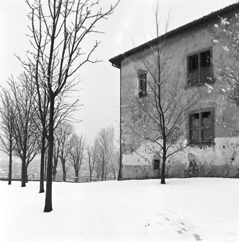 Bergamo_snowtrees-2.jpg