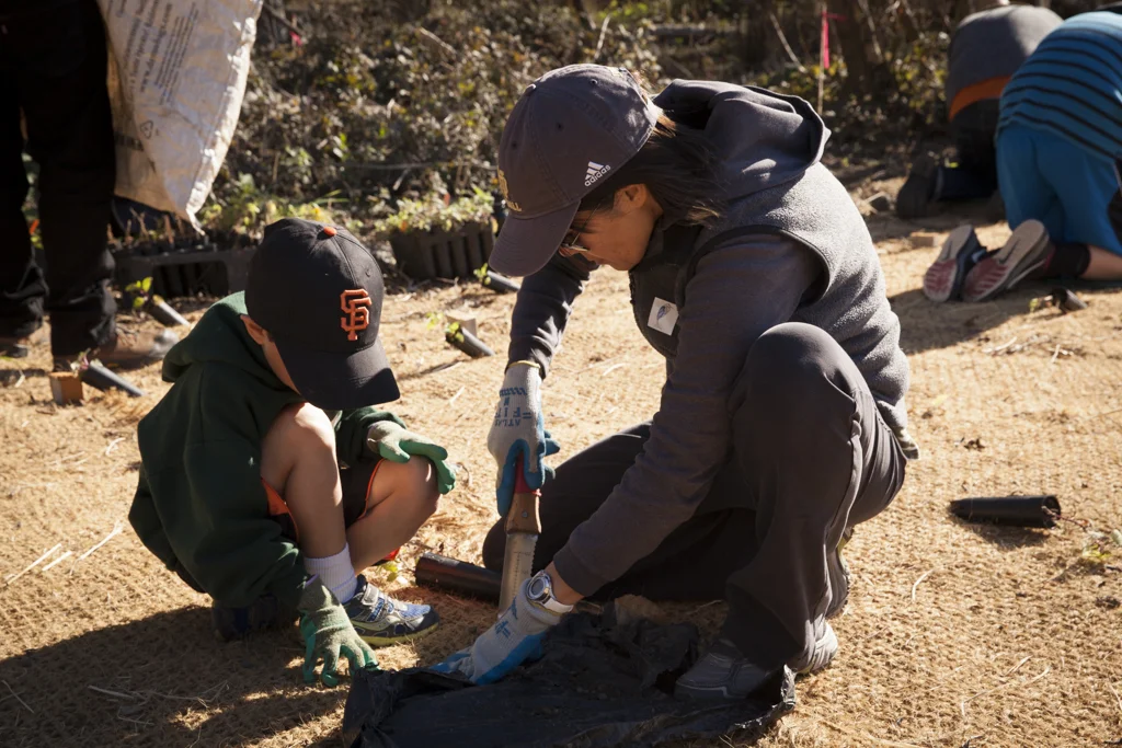 muirbeach-4.jpg