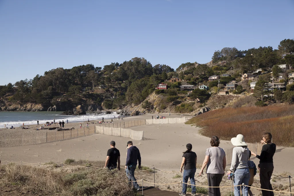 muirbeach-14.jpg
