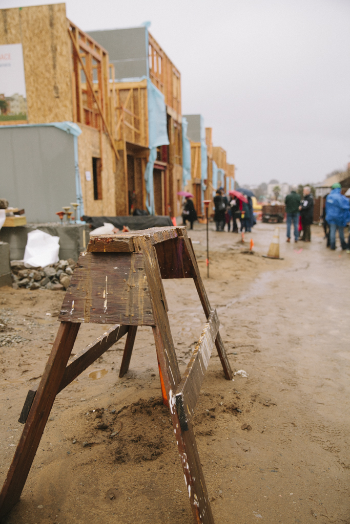 habitat-13.jpg