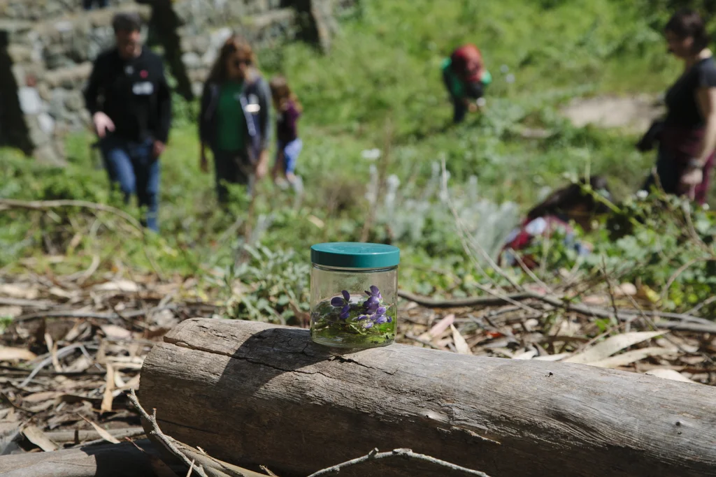 bioblitz-4.jpg