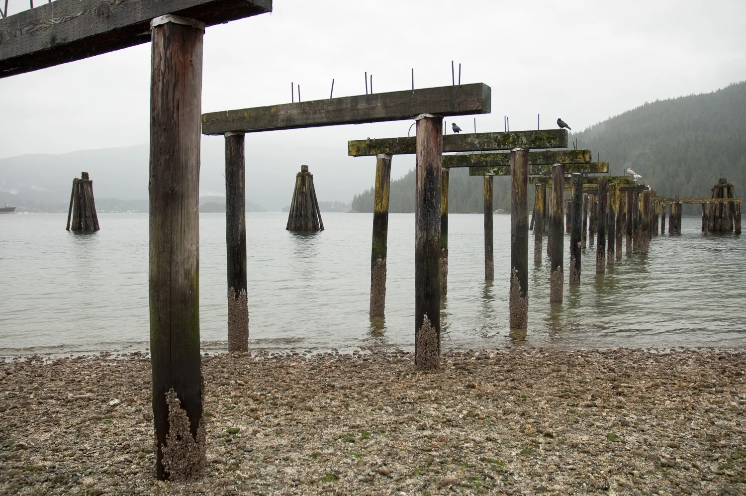beach-shots-BC027.jpg