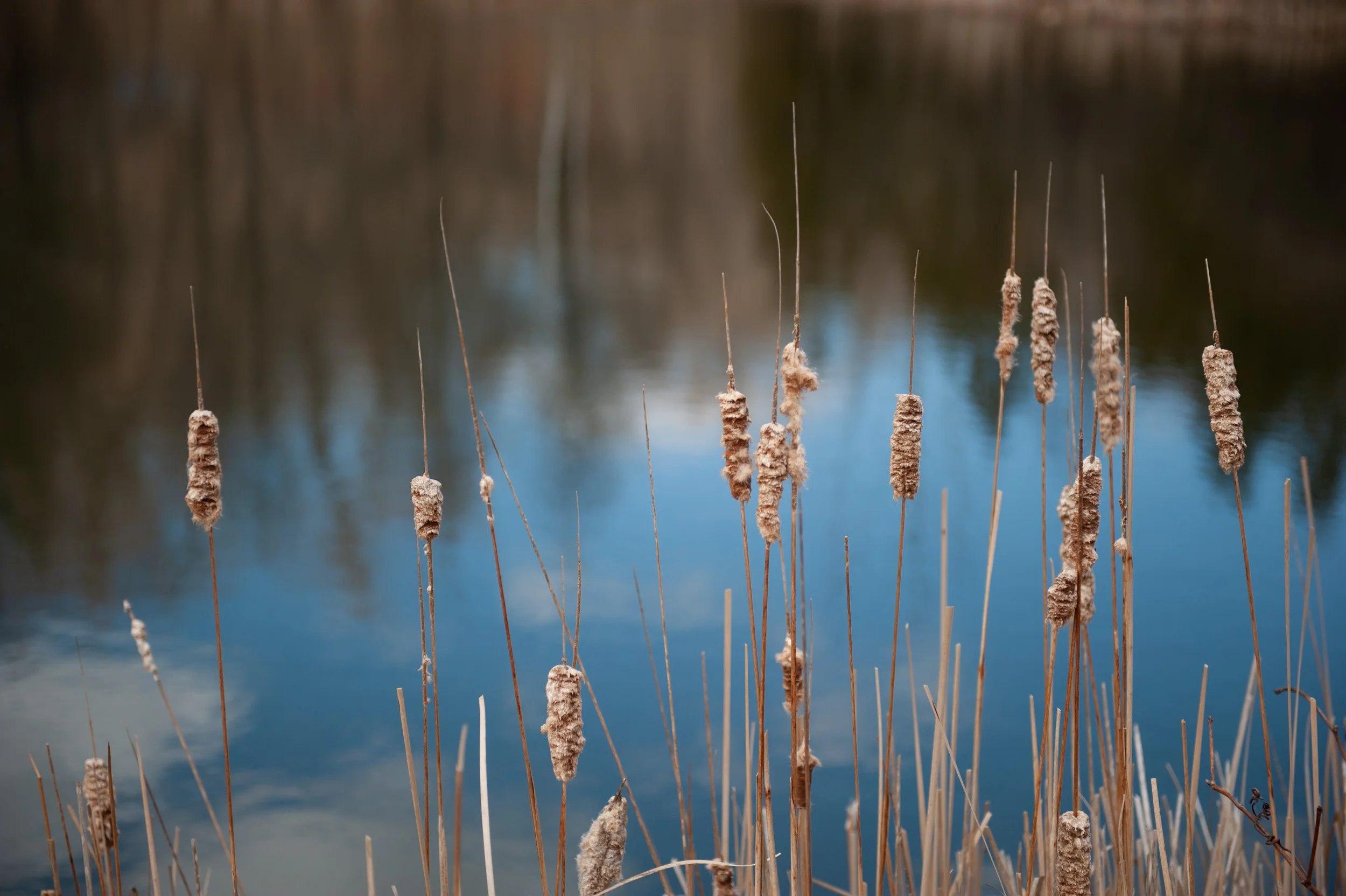 20190401_Toronto-85.jpg