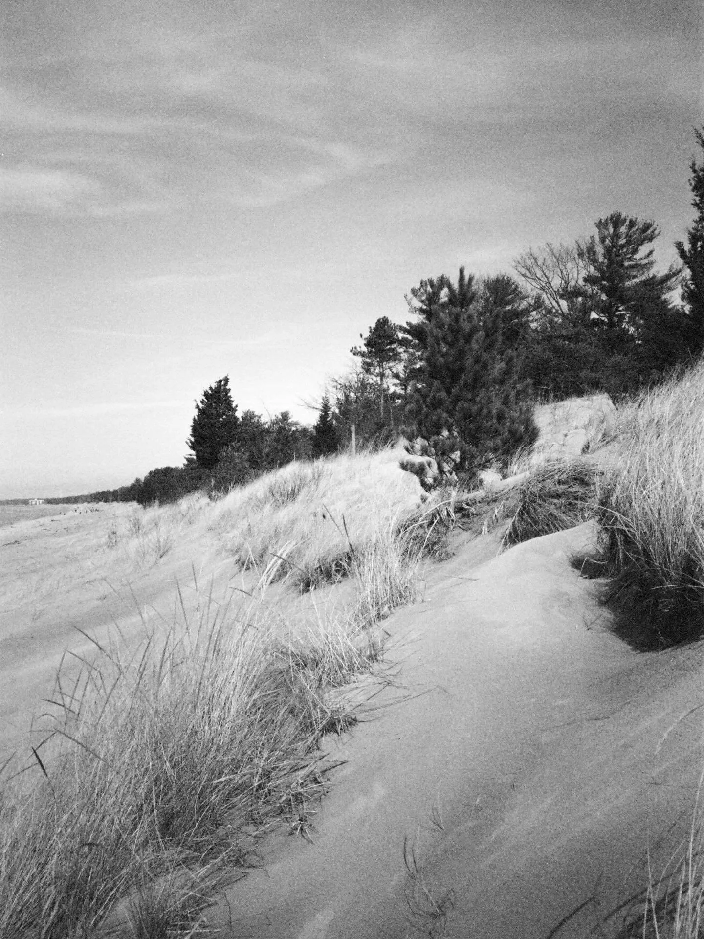 playing with film