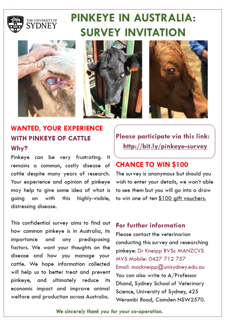 Pinkeye survey poster.png