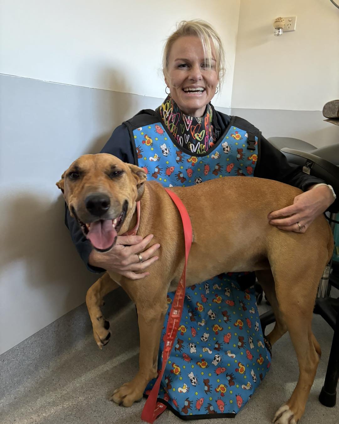 Our receptionist Sarah brought her dog Stella to work with a sore foot. 

She had an x-ray and was given pain relief to take home. Rest up Stel! 🧡