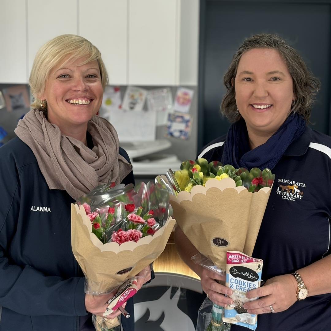 Happy National Receptionists&rsquo; Day! 💐

We thank you for your dedication day in and day out. 
We are so lucky to have our receptionist team consisting of Alanna, Angie, Rhonda and Sarah. 

#wangarattavet #wangarattavetclinic #wangaratta #nationa