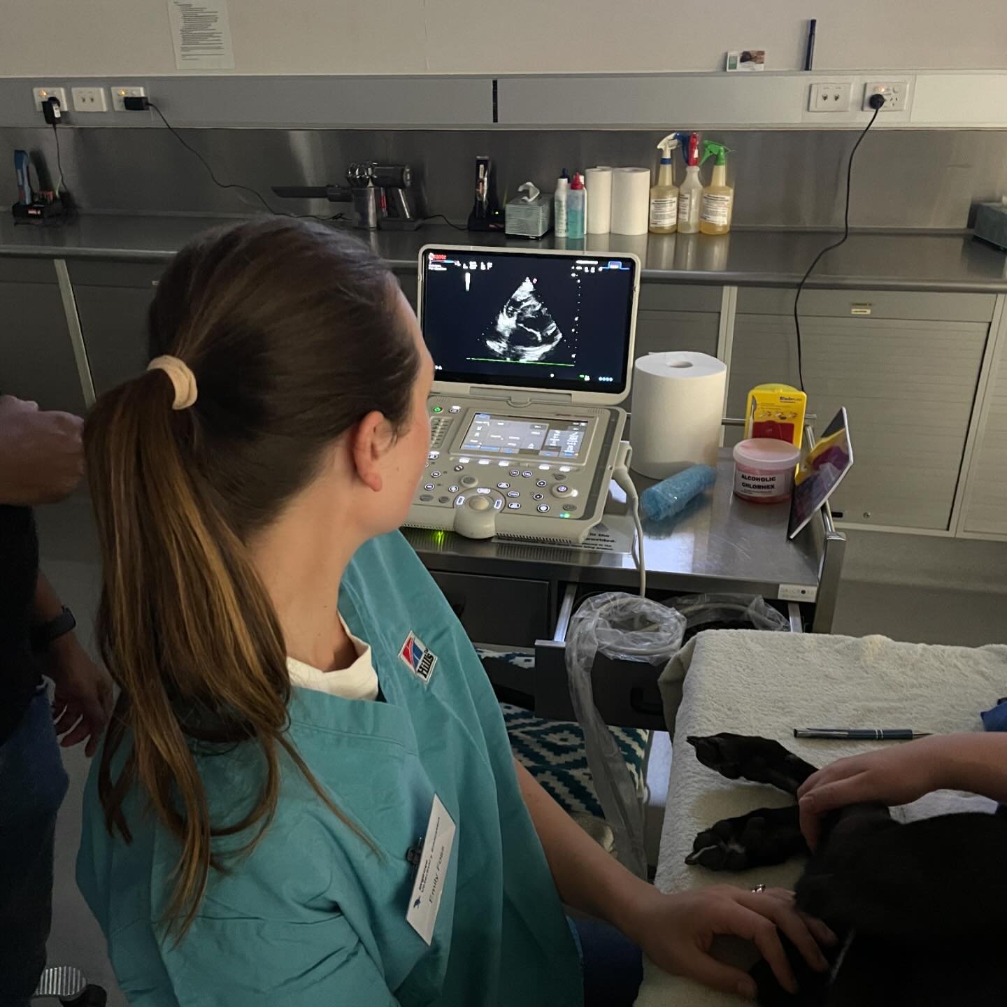 Dr Emily recently attended a practical course on Echocardiography. 

This course was held at the University of Queensland in Gatton. 

She learnt lots of valuable skills and was already practicing today on Audrey. 

#wangarattavetclinic #wangarattave