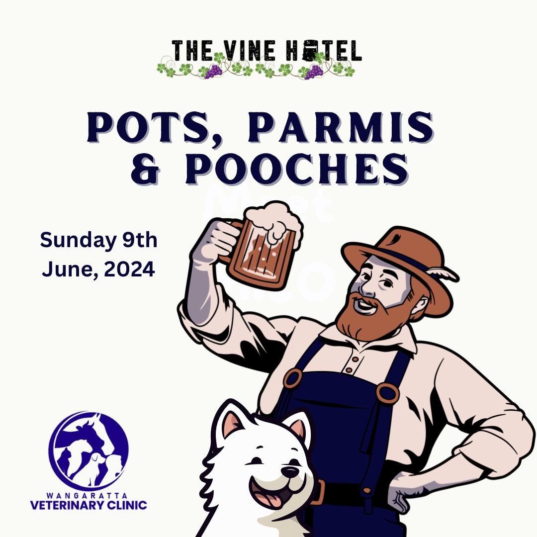 ✨ We&rsquo;re excited to be joining the @vinehotelwangaratta  again for Pots, Parmi&rsquo;s and Pooches! 🍻🐾

We look forward to seeing you and your dog on Sunday the 9th of June from 12pm. 

Bookings can be made via The Vine Hotel&rsquo;s website. 