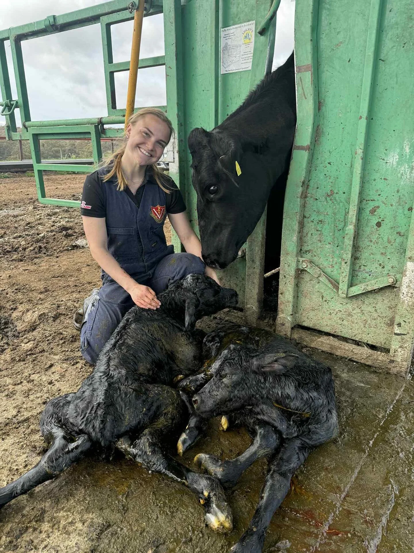 🐮🐮 TWIN CALVING!

Dr Amy and Vet Student Tessa had a tricky twin calving with 2 heads and 4 legs coming towards them. 

What a wonderful result with both being alive and doing well. 👌🏽

#wangarattavet #wangaratta #wangarattavetclinic #calving #tw