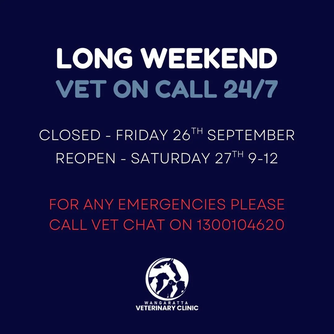 We are CLOSED tomorrow. 
Our vet is on call 24/7 over the long weekend. 

For any emergencies please phone Vetchat on 1300104620.
