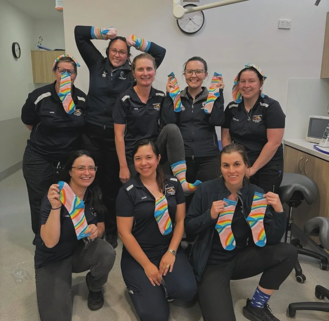 Happy Vet Nurse Day to our amazing nursing team!

You&rsquo;re the heart of our clinic &mdash; caring for patients, supporting clients, and keeping everything running smoothly. We&rsquo;re so grateful for all that you do! 🐶🐱🐾

#wangarattavetclinic