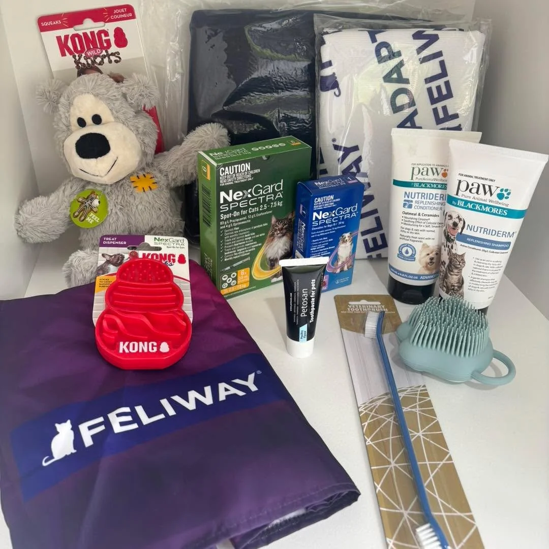 🎉 GIVEAWAY TIME! 🎉
We’re celebrating 2,000 Facebook followers, and it’s all thanks to YOU, our amazing community! 💙
To say thank you, we’re giving away a paw-some prize pack valued at over $250 (and it can be tailored to suit y
