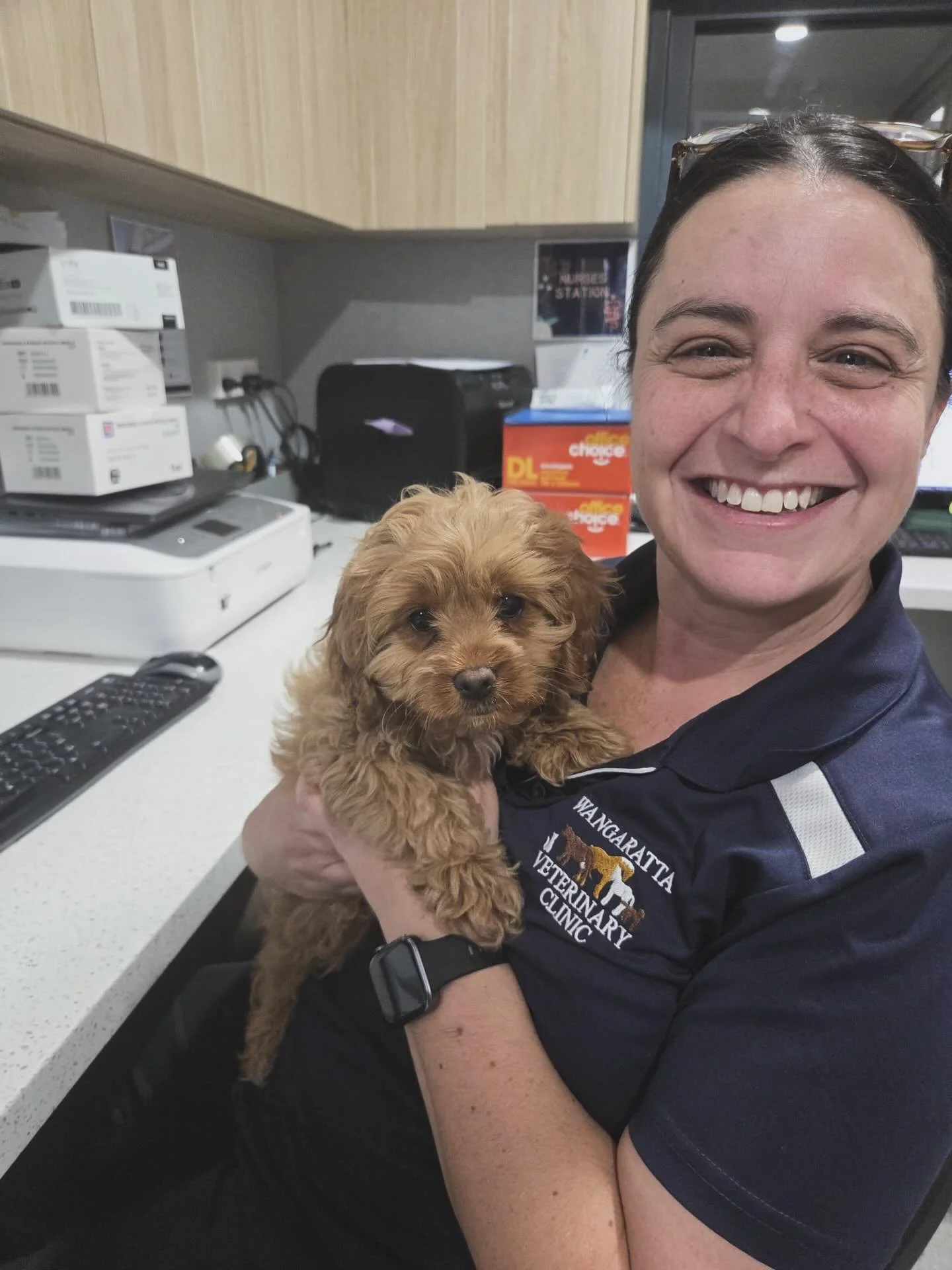 Betsy being a brave girl for her vaccinations today with Nurse Lisa. 🐶✨

Parvovirus is currently active in Wangaratta and nearby areas, so timely vaccinations are essential to keep our pets safe.

#wangarattavetclinic #wangarattavet #vetclinic #fear