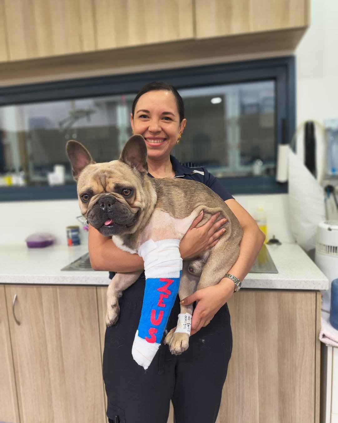 Meet Zeus 💜

Zeus was in our care for an elbow fracture repair, along with tonsil and nares surgery, and we&rsquo;re happy to report he&rsquo;s doing incredibly well. Such a lovely, gentle boy throughout his stay.

Emily recently re-did his bandage 