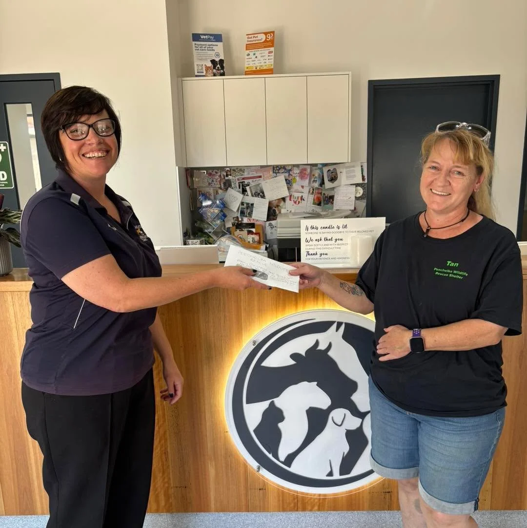 An amazing $516 raised for Peechelba Wildlife Shelter! 🎉
@peechelba.wildlife.shelter 

A huge thank you to everyone who purchased a Christmas raffle ticket. Your support means these funds are going directly to helping wildlife who need it most. 🐾💚