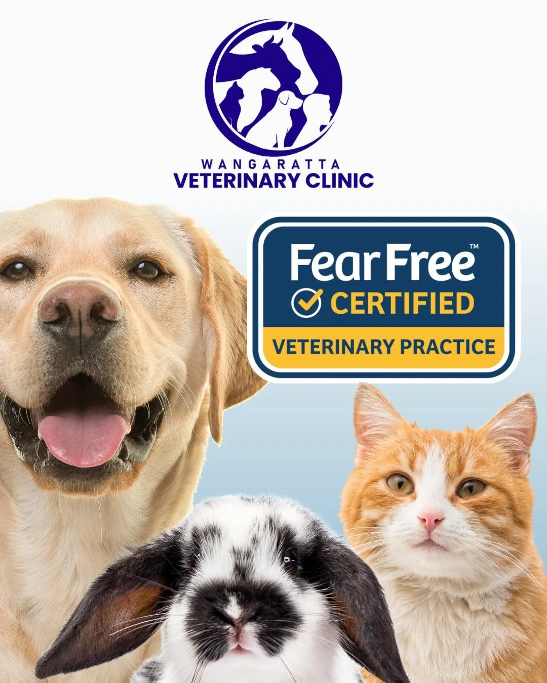 🎉 BIG NEWS 🎉

Wangaratta Veterinary Clinic is now a Fear Free Certified Veterinary Practice!

This achievement represents 12 months of dedication from our team, with every staff member a Fear Free Certified Professional. 

What this means for you a