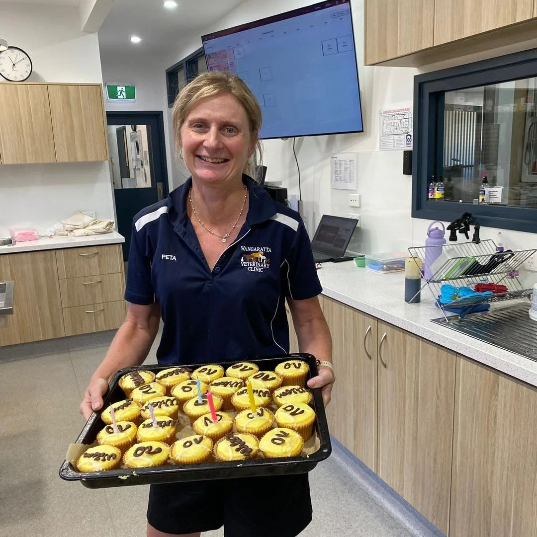 Happy Birthday to our wonderful, sport-loving vet nurse Peta! 🥳🎾

We hope your day is as energetic, fun, and full of wins as you are. 
Thanks for bringing so much passion, care, and knowedge to our clinic. We&rsquo;re so lucky to have you! 🎉💙

#w