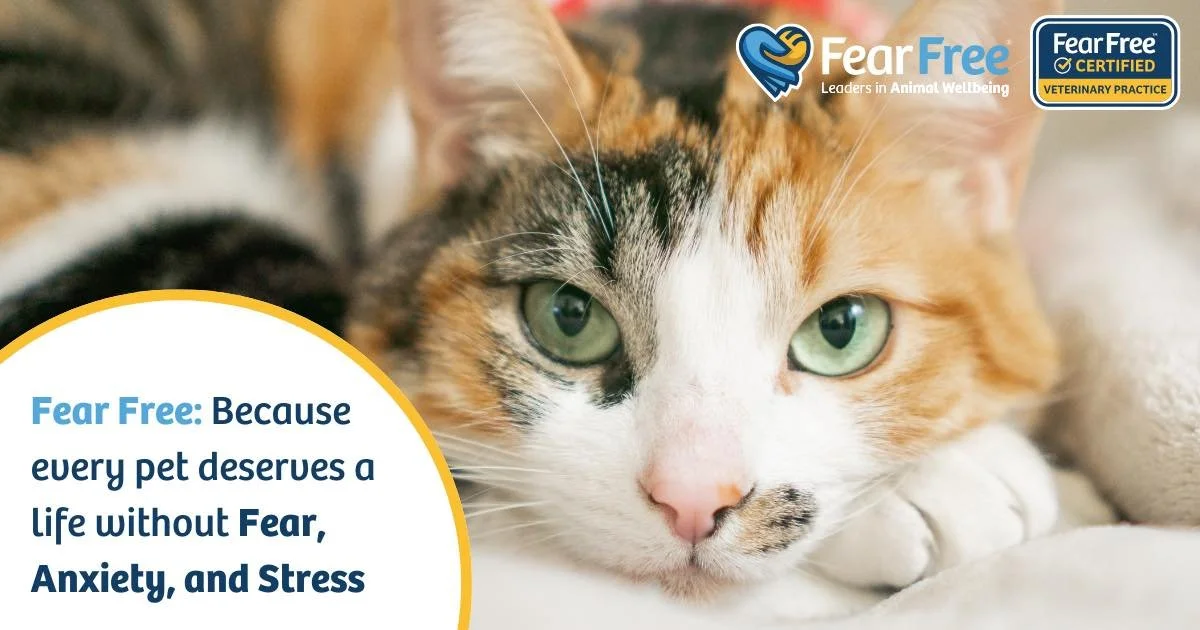 We&rsquo;re proud to be a Fear Free Certified Veterinary Clinic. 🐶🐱
That means every visit is designed to reduce fear, anxiety and stress for our patients &mdash; from gentle handling and calming techniques to taking things at their pace.

For us, 