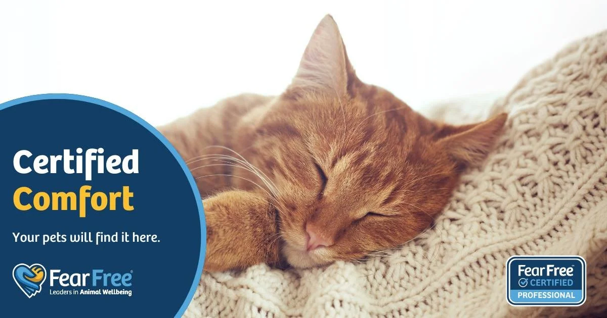 Fear Free Certified. 🐾

Gentle handling. Calm visits. Happier pets. 💙

#wangarattavet #wangarattavetclinic #wangaratta #fearfree #vetclinic #fearfreecertified #fearfreecertifiedveterinarypractice