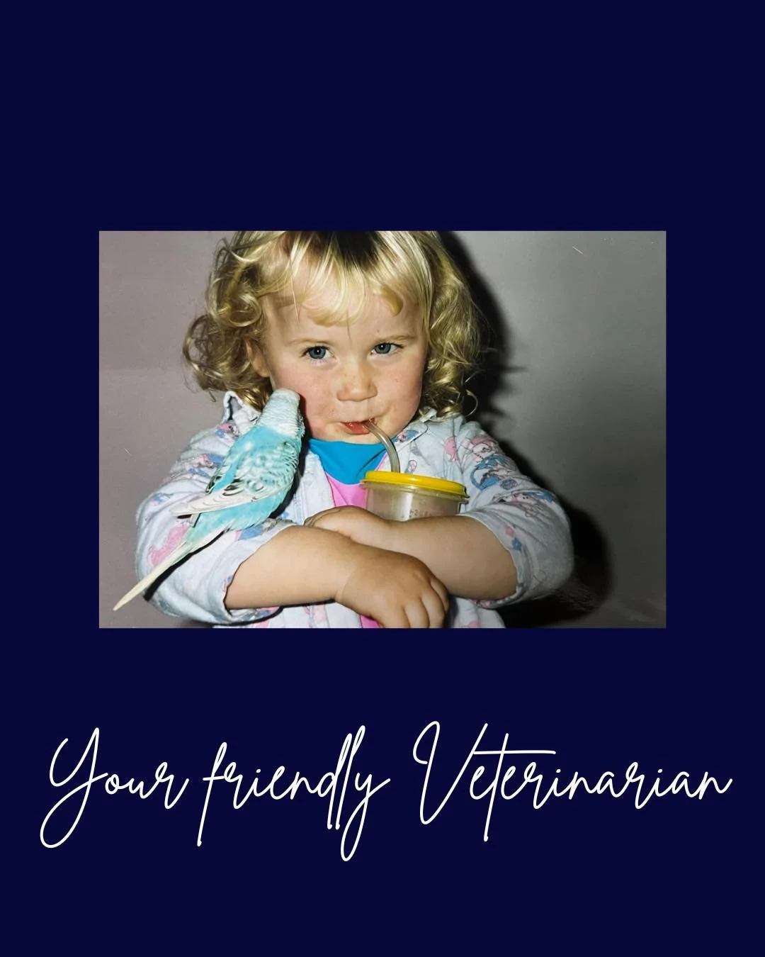 Take a walk down memory lane with us &hellip; 🩵

Can you spot a staff member you know? 🥰

#wangarattavet #wangarattavetclinic #wangaratta #fearfree #vetclinic #fearfreecertified #fearfreecertifiedveterinarypractice