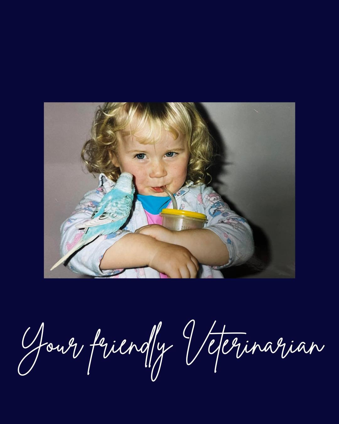 Take a walk down memory lane with us &hellip; 🩵

Can you spot a staff member you know? 🥰

#wangarattavet #wangarattavetclinic #wangaratta #fearfree #vetclinic #fearfreecertified #fearfreecertifiedveterinarypractice