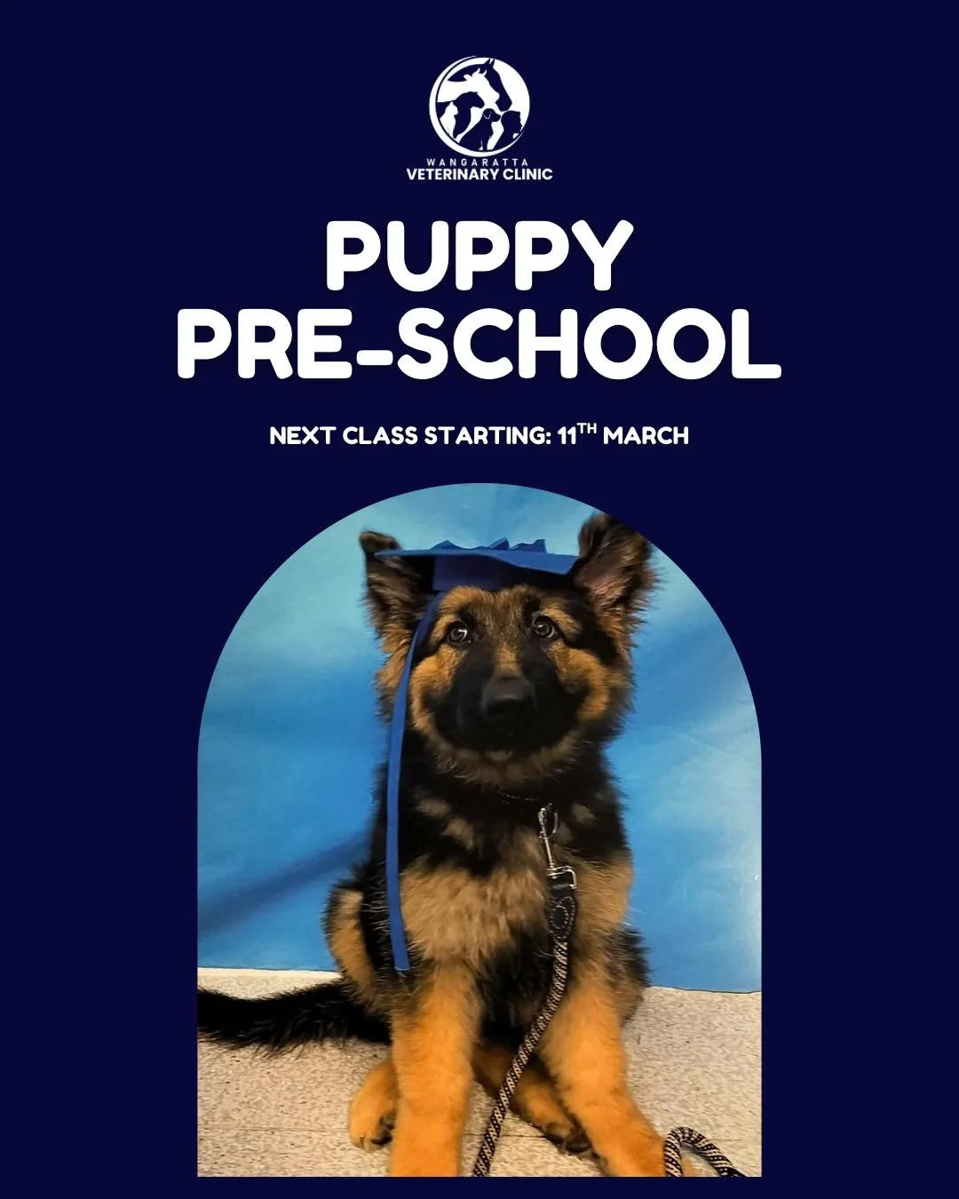 PUPPY PRE-SCHOOL 🐾🎓

Starting March 11th, we&rsquo;re kicking off our next 5-week Puppy Preschool course &mdash; running Wednesday nights from 5&ndash;6pm.

This fun and educational course is designed to help your puppy get the best start in life, 