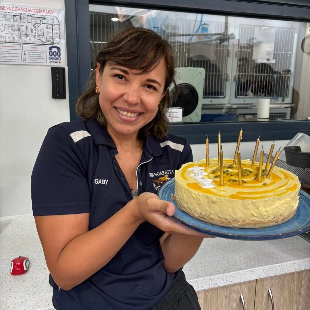 🎉🎂🥳🎈🎁 HAPPY BIRTHDAY GABY!

Enjoy your delicious Mango/Passionfruit cheesecake.