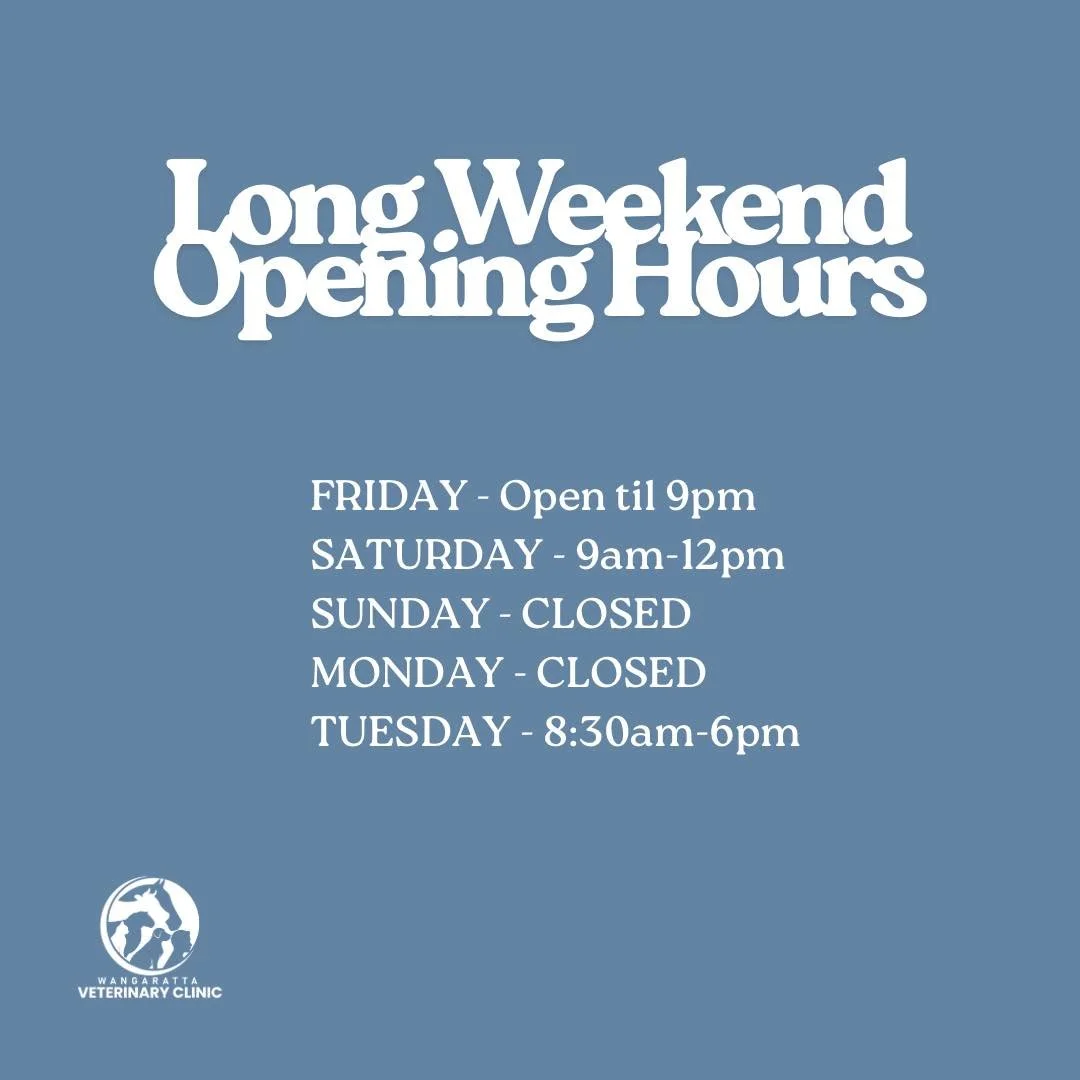 ❗️This long weekend we have a vet available for emergencies 24/7. 

During an emergency please phone Vetchat on (03) 6407 5824. 

#wangarattavet #wangarattavetclinic #wangaratta #fearfree #vetclinic #fearfreecertified #fearfreecertifiedveterinaryprac