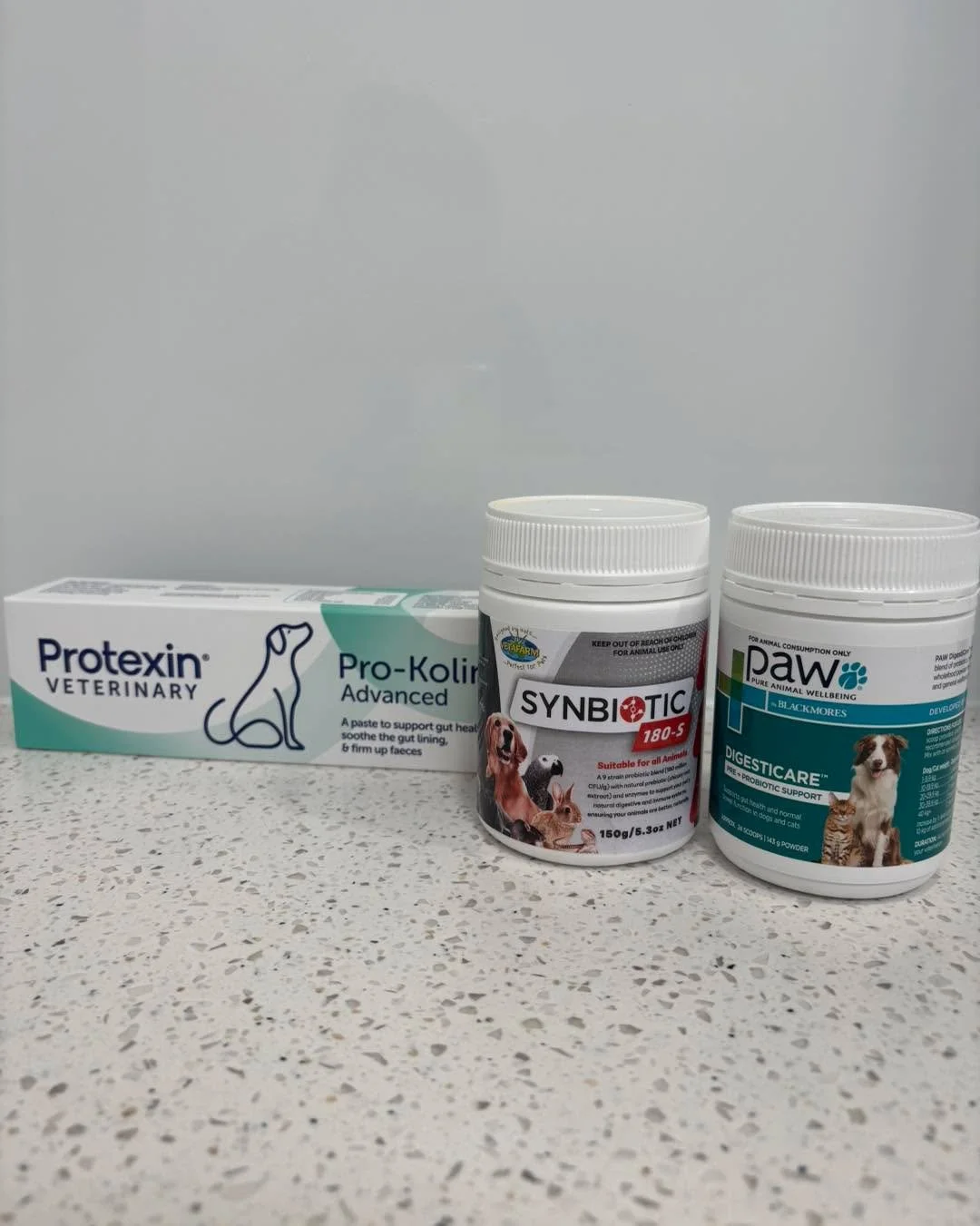 What are probiotics (and does your pet need them)? 

Probiotics are beneficial bacteria that help keep your pet&rsquo;s gut healthy and balanced. Just like in humans, a healthy gut plays a big role in digestion, immunity, and overall wellbeing.

You 