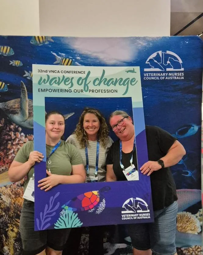 Nurses Taylah and Nic headed to Brisbane for this year&rsquo;s Vet Nurse Conference - Nic even showcased her poster on poultry! 🐓

#wangarattavet #wangarattavetclinic #wangaratta #fearfree #vetclinic #fearfreecertified #fearfreecertifiedveterinarypr