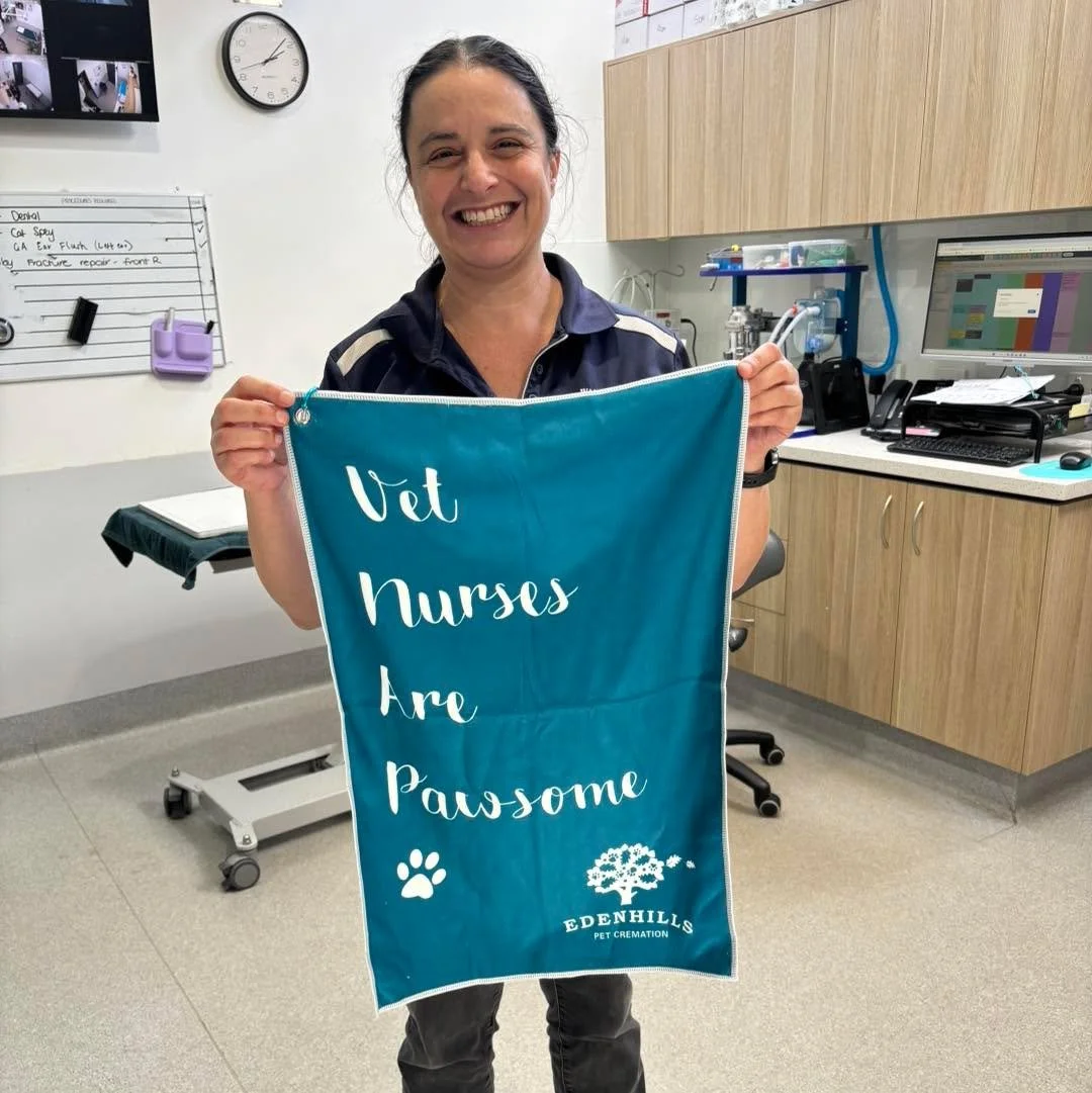 Thanks edenhillspetcremation for our goodies!

You&rsquo;re right, Vet Nurses are pawsome! 🐾❤️

#wangarattavet #wangarattavetclinic #wangaratta #fearfree #vetclinic #fearfreecertified #fearfreecertifiedveterinarypractice